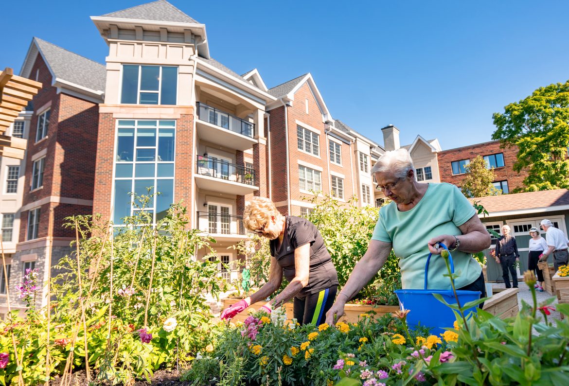 Raised community garden beds